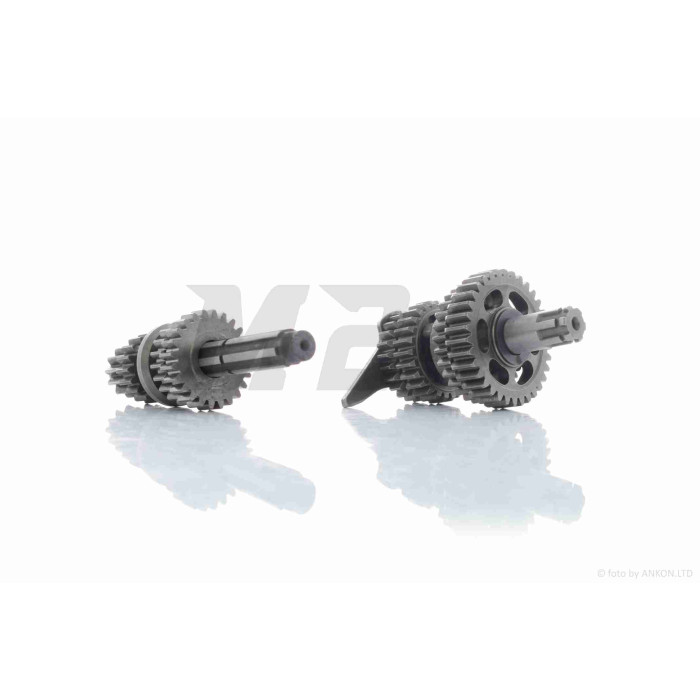 Коробка передач у зборі Active 110 (DY100)