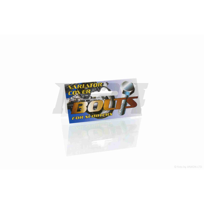 Болти кришки варіатора до-кт DIO (під шестигранник) "SALO"