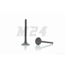 Клапани ГРМ Delta 110, Active 110 L65,5 d23/20 голі