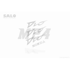 Наклейка DIO AF62/68 #B (хром) "SALO"