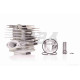 ЦПГ пилки Goodluck 4500 D43 "RORX"