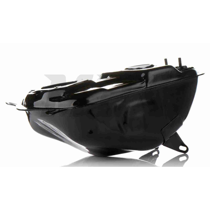 Бак паливний Active 110 "LIPAI"