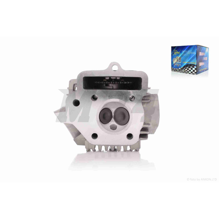 Головка циліндра 147FMD Delta 70 D47, d20/23 у зборі #PRO "LIPAI"