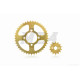 Зірки трансмісії пара Delta 428-14/41 + ланцюг 98L "LIPAI" (GOLD)
