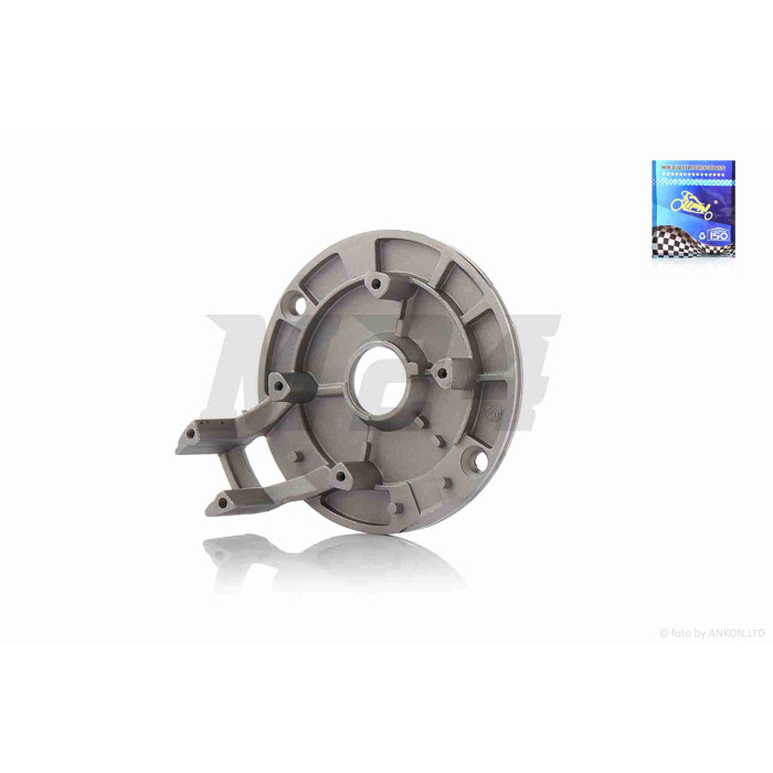 Пластина кріплення генератора TTR 125 1+1 "LIPAI"