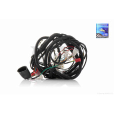 Проводка GY6 50 F50 "LIPAI"