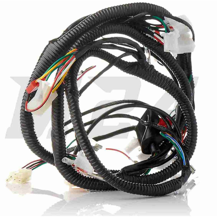 Проводка GY6 50 GRAND PRIX QT6 "LIPAI"
