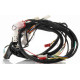 Проводка  GY6 50/150  STORM QT9  "LIPAI"