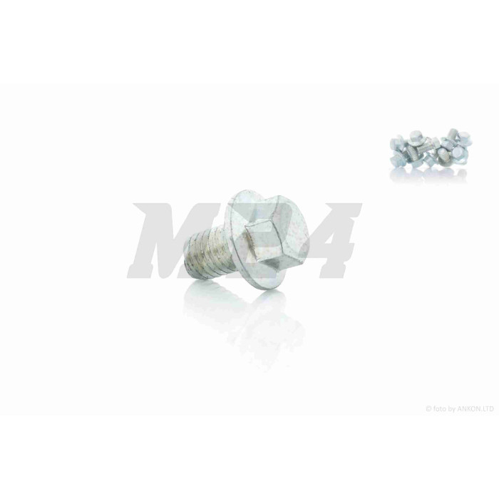 Болт із фланцем M8 L12 (10шт, хром)