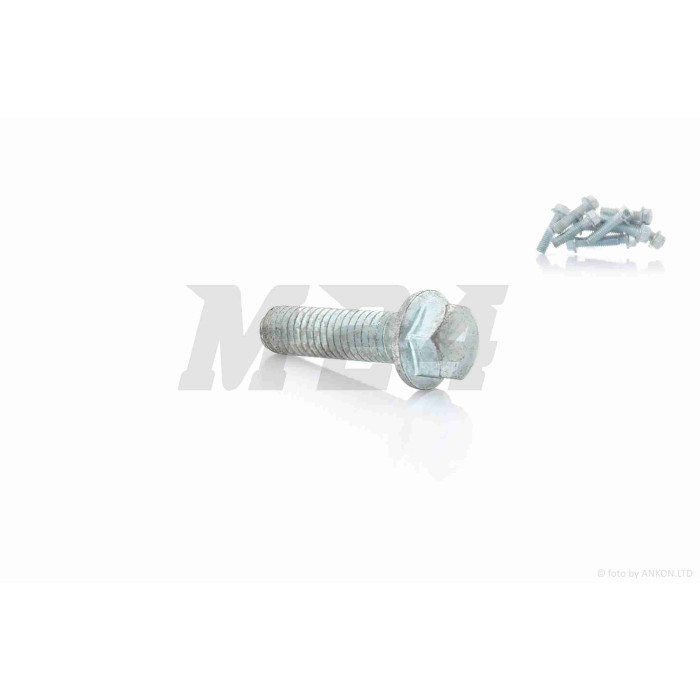 Болт із фланцем M6 L22 (10шт, хром)