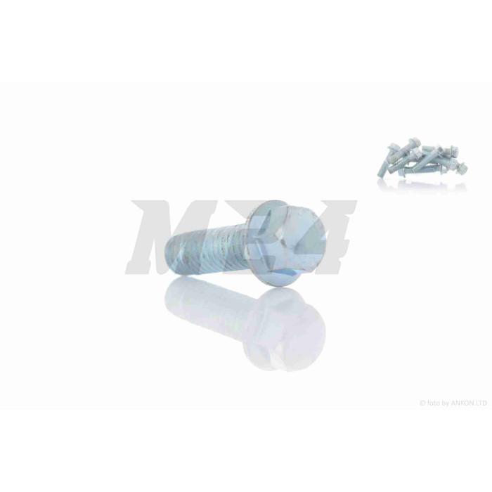Болт із фланцем M6 L18 (10шт, хром)