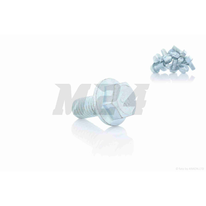 Болт із фланцем M8 L16 (10шт, хром)
