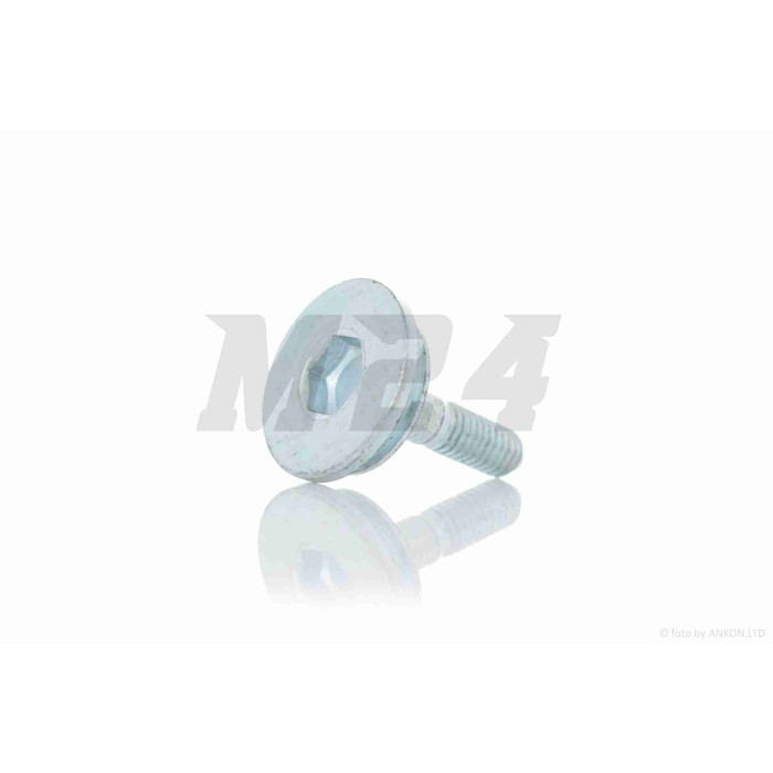 Болт заспокоювача ланцюга ГРМ (лижі) GY6 150 #OEM