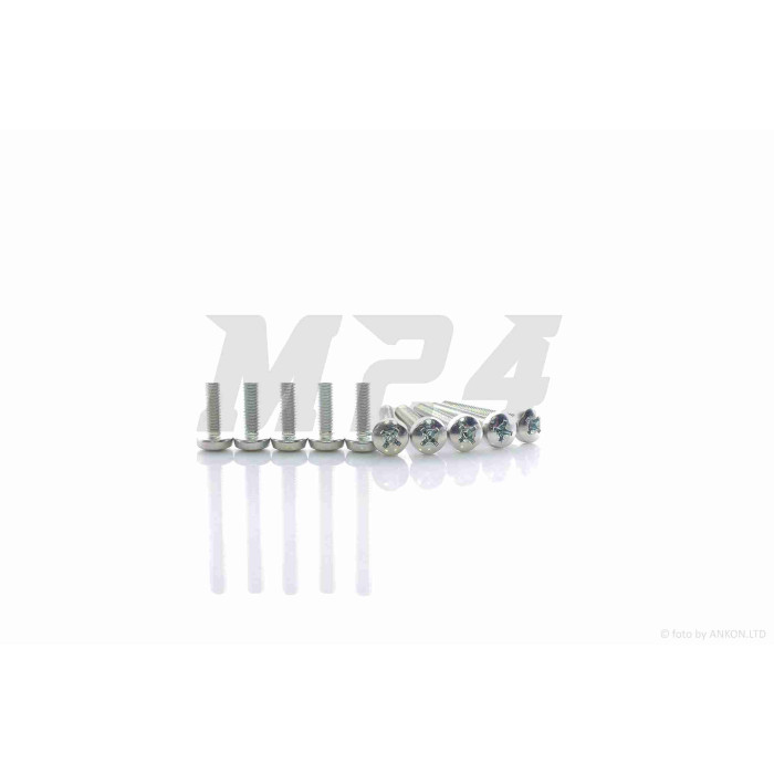 Болти із напівсферичною головкою D-6, L-25mm (10шт)