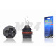 Лампа фари PH11 12V 40/40W DIO АF34/35, LEAD AF48 біла "LIPAI"
