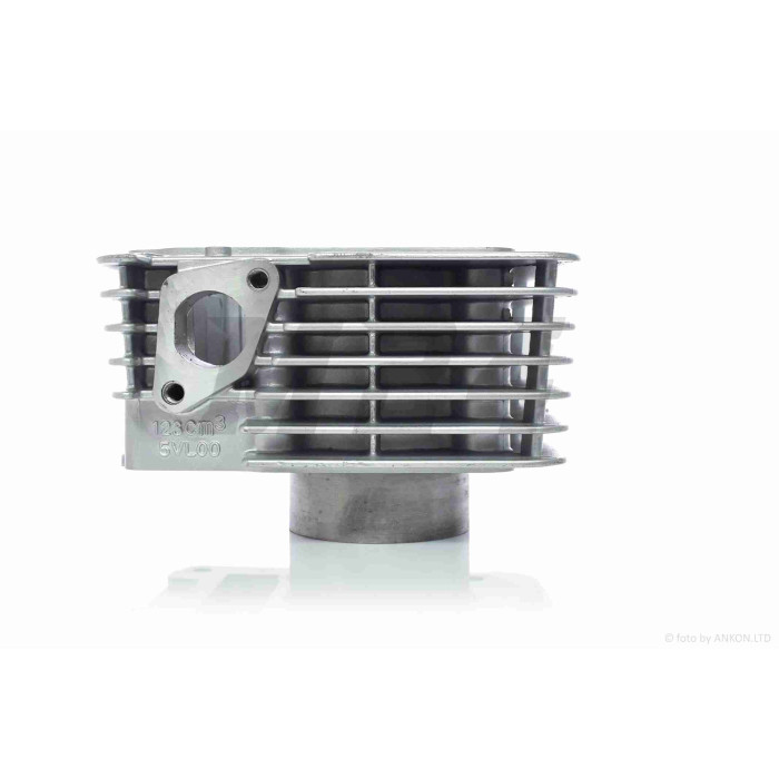 ЦПГ YBR125 D54, p15, h65.4 #PRO "LIPAI"