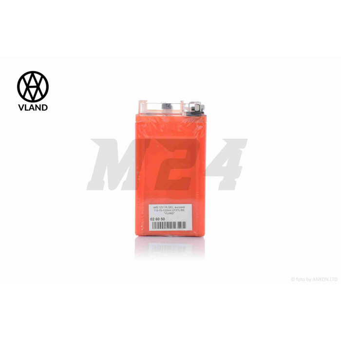 Акумулятор GEL 12V 7A 113-70-132mm, високий YTX7L-BS "VLAND" (2025)