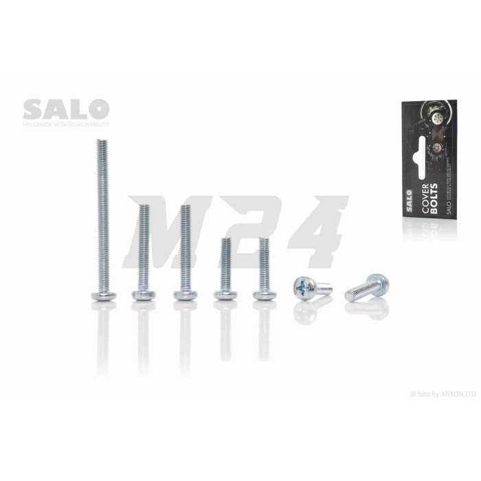 Болти кришки варіатора к-кт LETS 4/5, V50 (під викрутку) "SALO"