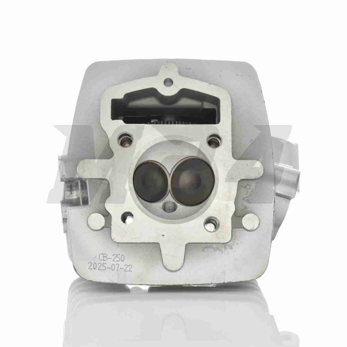 Головка цилиндра цепная 165FMM/166FMM CB200/CB250 D65.5, d28/34 в сборе