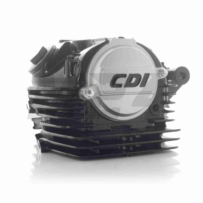 Головка циліндра ланцюгова 165FMM/166FMM CB200/CB250 D65.5, d27/31.5 у зборі "LIPAI" (чорна, TTR250)