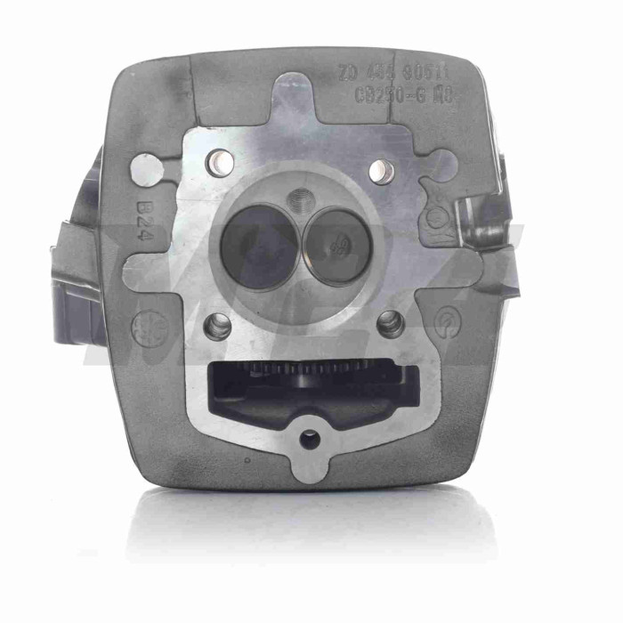 Головка циліндра ланцюгова 165FMM/166FMM CB200/CB250 D65.5, d27/31.5 у зборі "LIPAI" (чорна, TTR250)