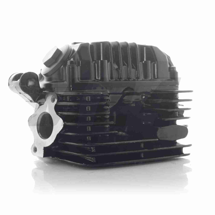 Головка циліндра ланцюгова 165FMM/166FMM CB200/CB250 D65.5, d27/31.5 у зборі "LIPAI" (чорна, TTR250)