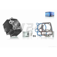 ЦПГ Delta 120/125 (152FMI C120) D52.4, p13, h78.3, чавун #PRO "LIPAI"