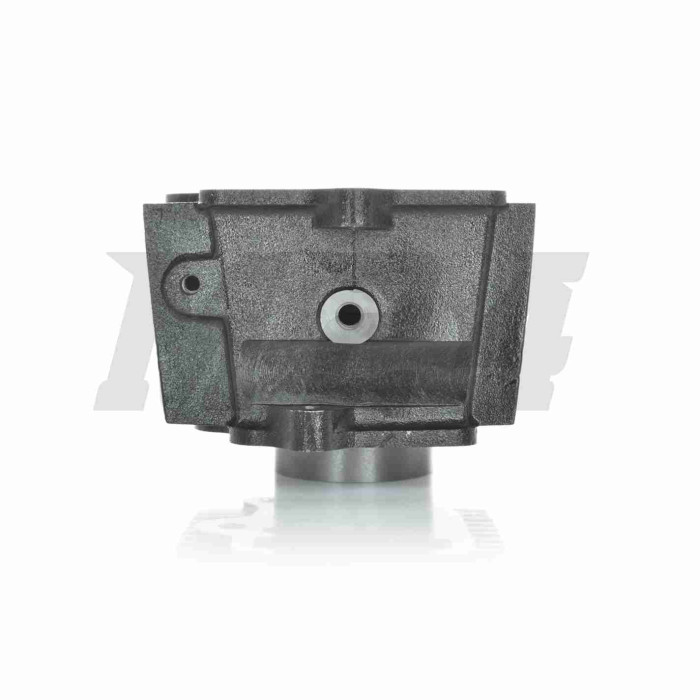 ЦПГ Delta 120/125 (152FMI C120) D52.4, p13, h78.3, чавун #PRO "LIPAI"
