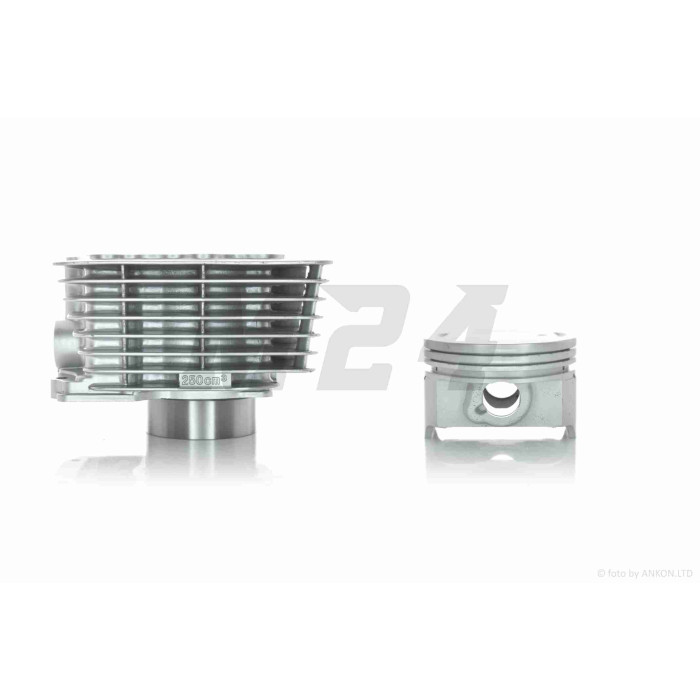 ЦПГ штангова CGN250 (166FMM) D65.5, p15, h82 #PRO "LIPAI"