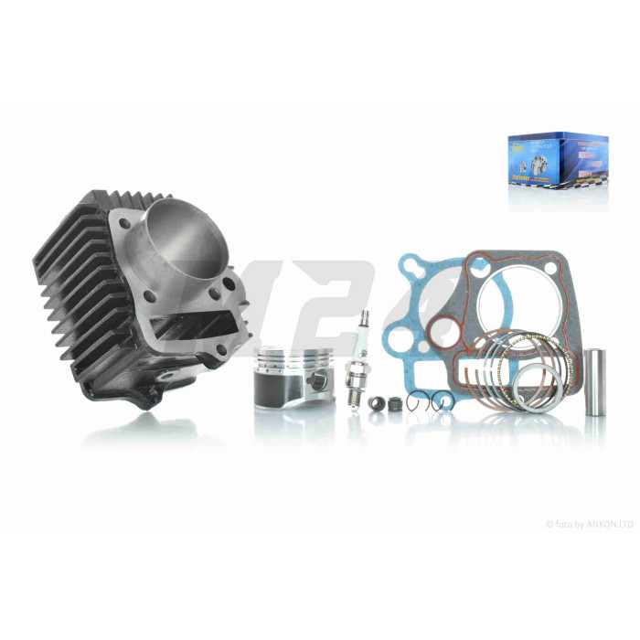 ЦПГ Delta 110, ATV110 D52.4, p14, h69, чавун, тефлон #PRO "LIPAI"