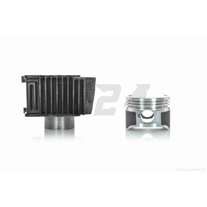ЦПГ Delta 110, ATV110 D52.4, p14, h69, чавун, тефлон #PRO "LIPAI"