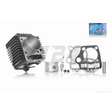 ЦПГ Delta 125, TTR125-1 (154FMI-2 S125) D54, p14, h69, чавун #PRO "LIPAI"