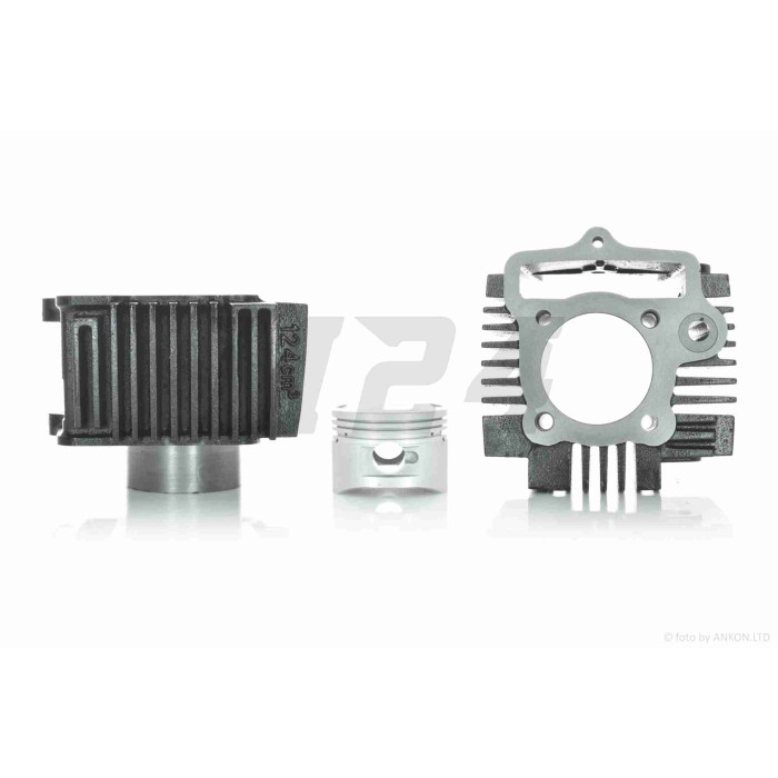 ЦПГ Delta 125, TTR125-1 (154FMI-2 S125) D54, p14, h69, чавун #PRO "LIPAI"