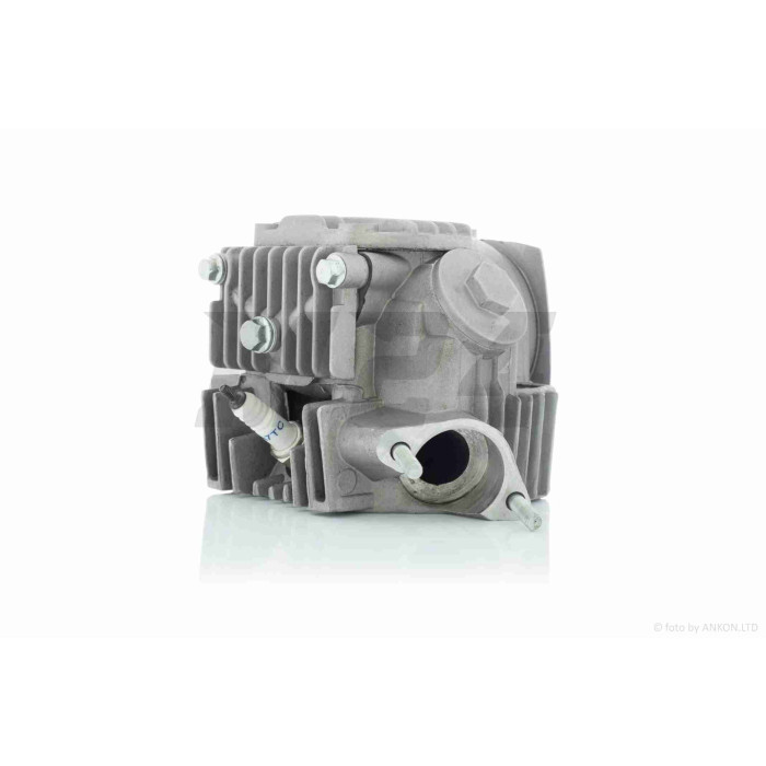Головка циліндра 147FMD Delta 70 D47, d20/23 у зборі, розбирання, нова