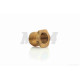 Футорка (гужон головки) 4T латунь