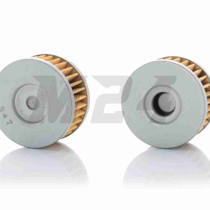 Фільтр масляний мото DRAGON 250 (K172FMM) D59/H33 "SKYMOTO" #OEM
