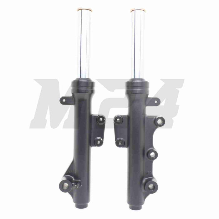 Амортизаторы передние (перья) EAGLE d30 (ZW50QT-7)