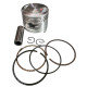 Поршень (комплект) ДЕЛЬТА-АЛЬФА 70cc STD 47.00mm