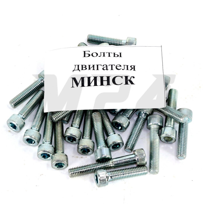 Болти двигуна МІНСЬК (комплект)